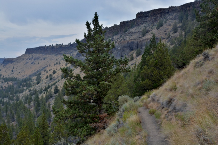 part of the Tam-a-lau trail